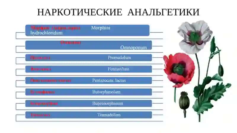 Наркотические ва ненаркотические анальгетики 4