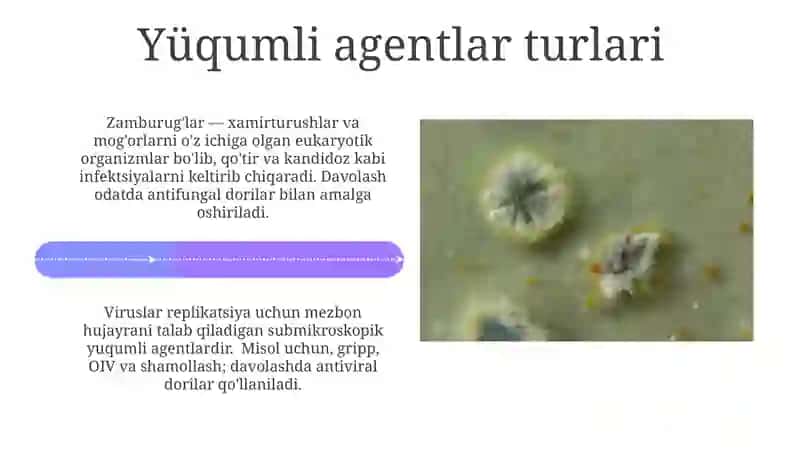Infeksiya va infeksion kasalliklar 4