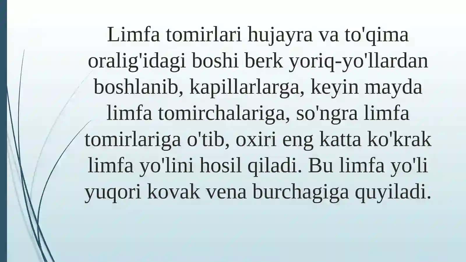 Limfa sistemasi: organizmning muhim qismi 4