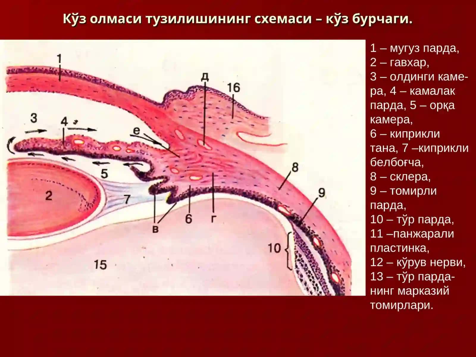 СЕЗУВ АЪЗОЛАРИ 4