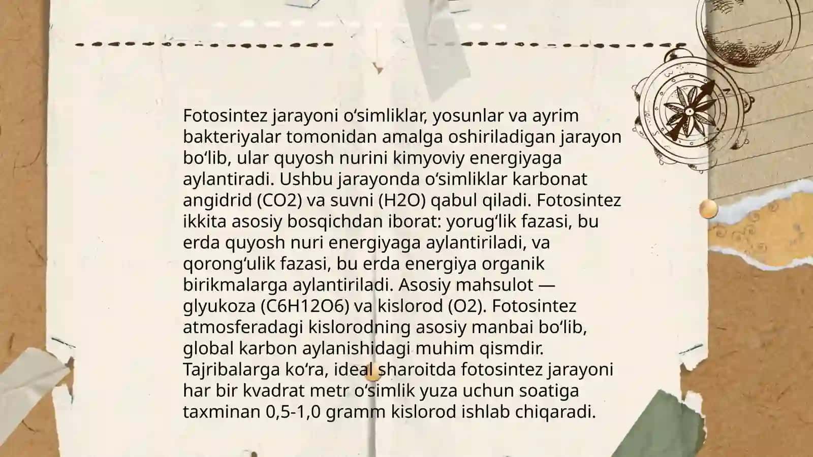 O'simliklar dunyosi 4