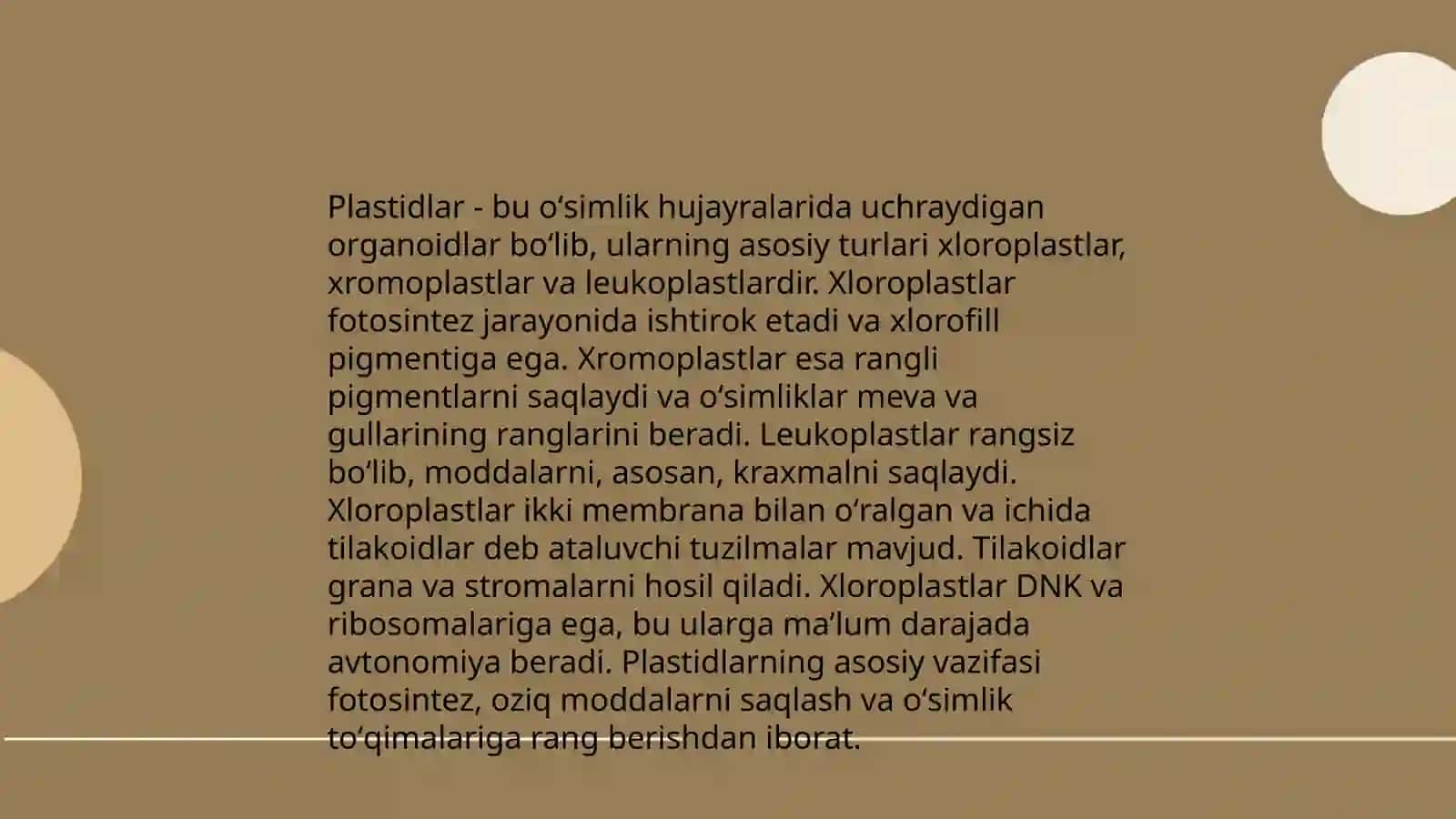Plastidalar tuzilishi va tiplari 4