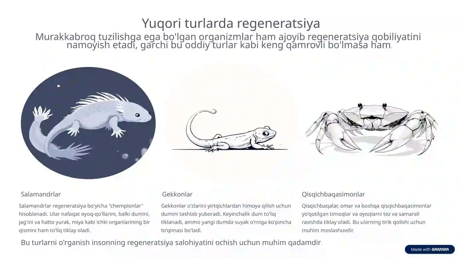 REGENERATSIYA 4