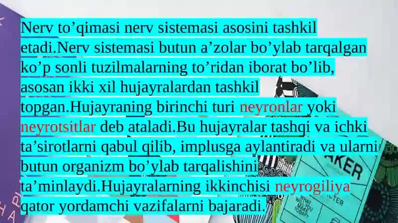 Nerv tizimi taraqqiyoti 4