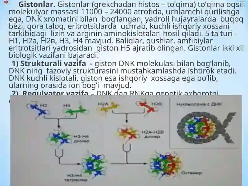 Oddiy va murakkaboqsillar 4