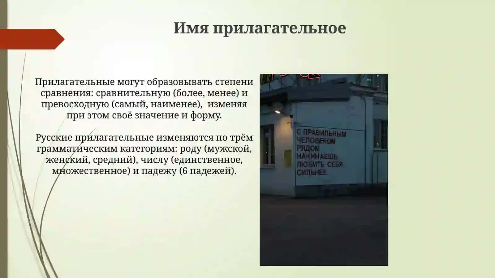 Грамматические Свойства русского языка 4