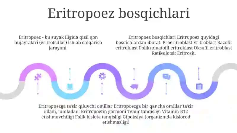 Eritropoez Mexanizmi Va Unga Ta'Sir Etuvchi Omillar 4