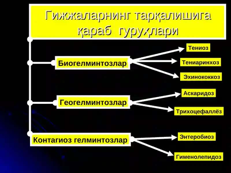 ГИЖЖАЭНВАЗИЯСИ 4