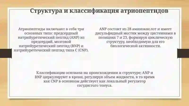 Атриопептидыиихклиническоезначение 4