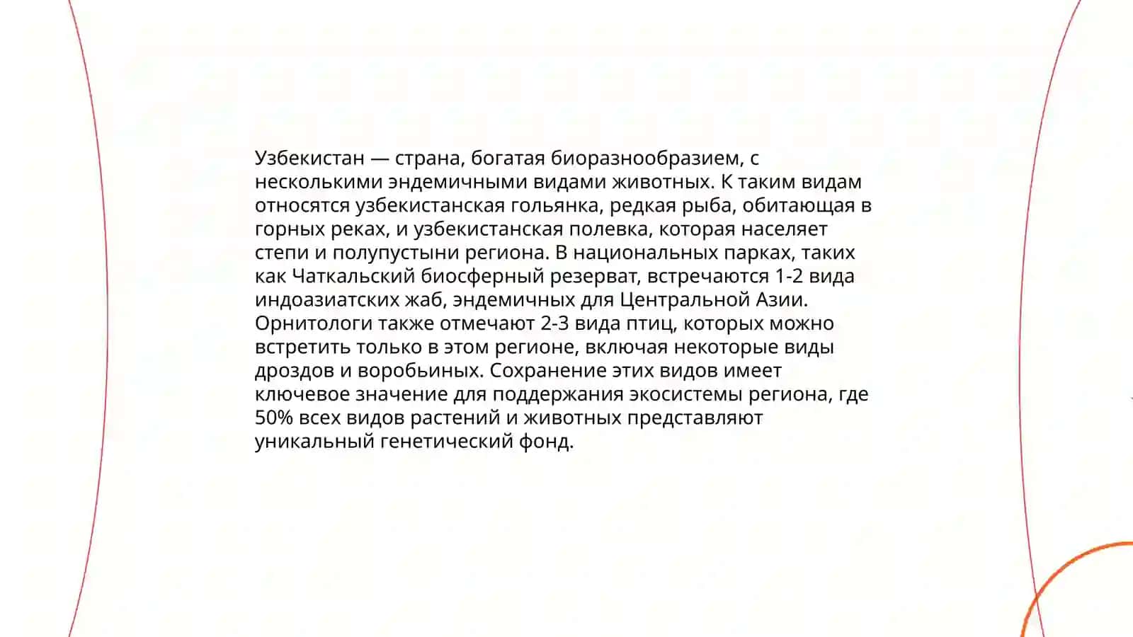 Животные мир Узбекистан 4
