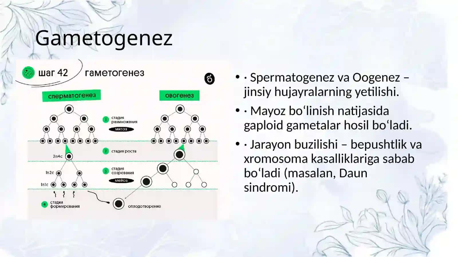 Tibbiy biologiya. Umumiy genetika 4