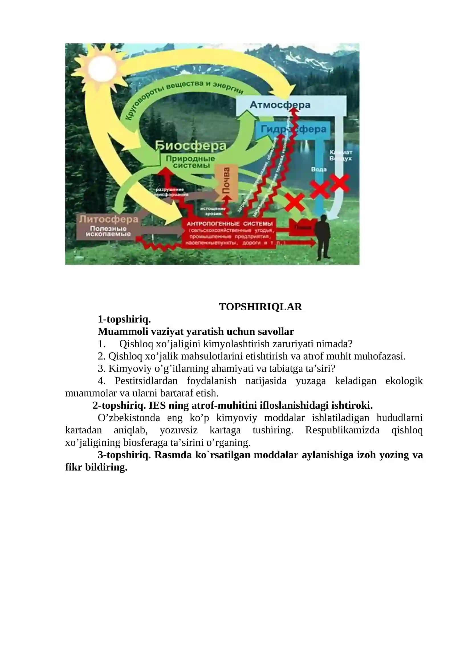 Biosferada moddalar va energiya aylanishi 4