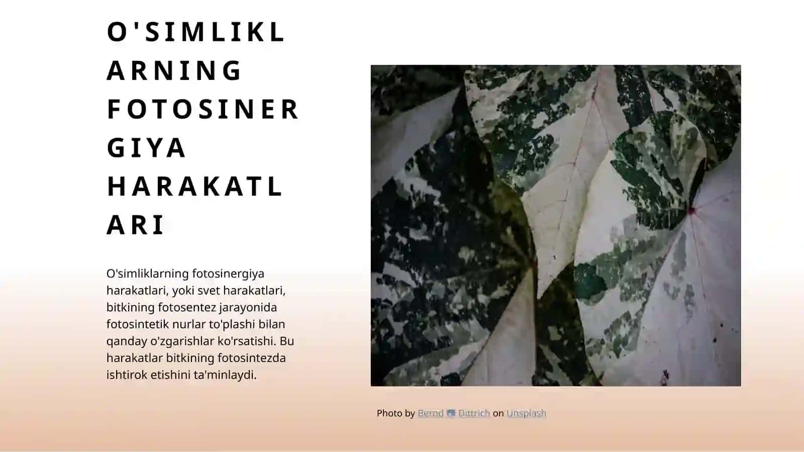 O'simliklarning harakatlanishi 4