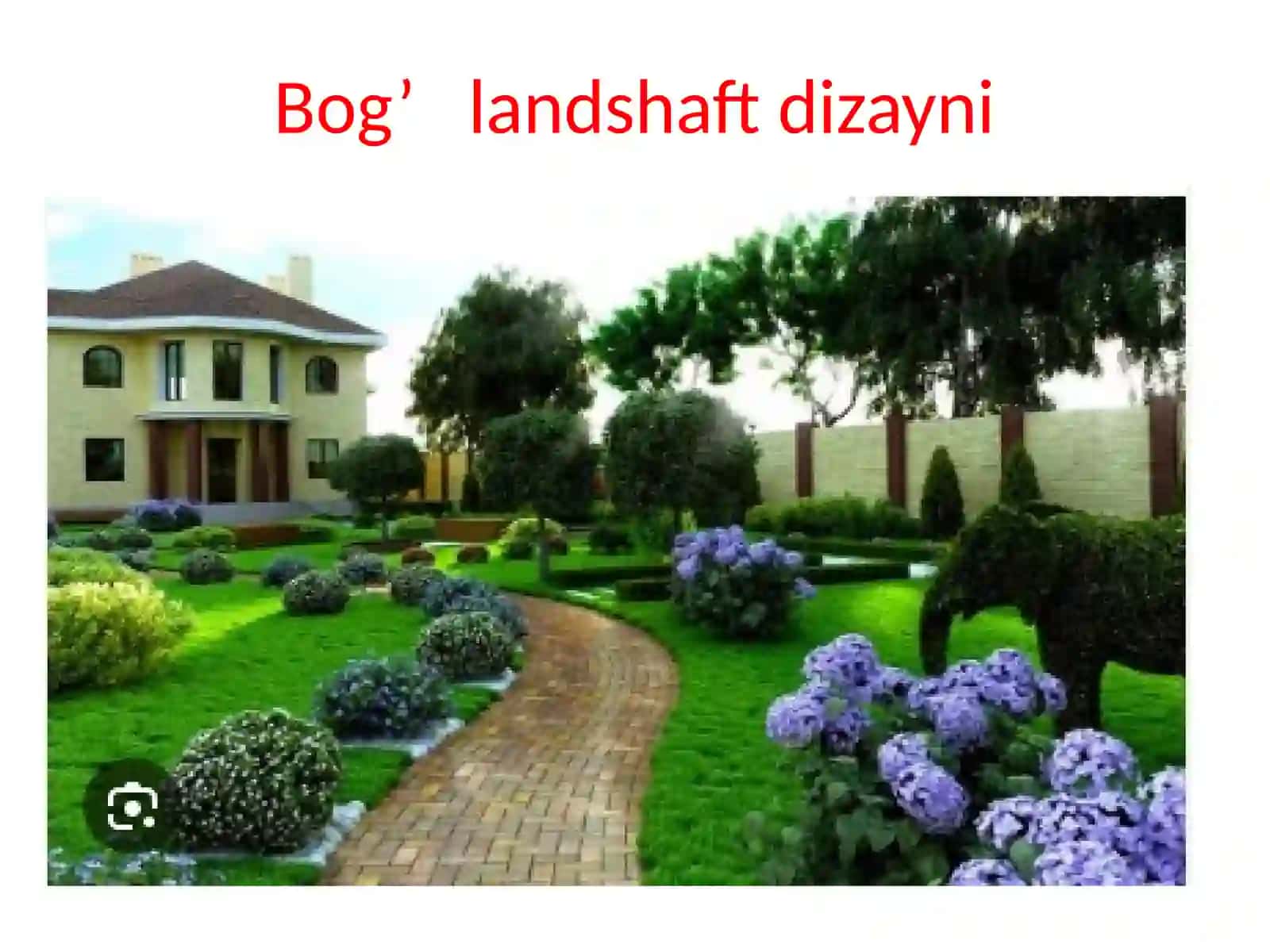 Bo’lishning geometrik ma’nosi 4