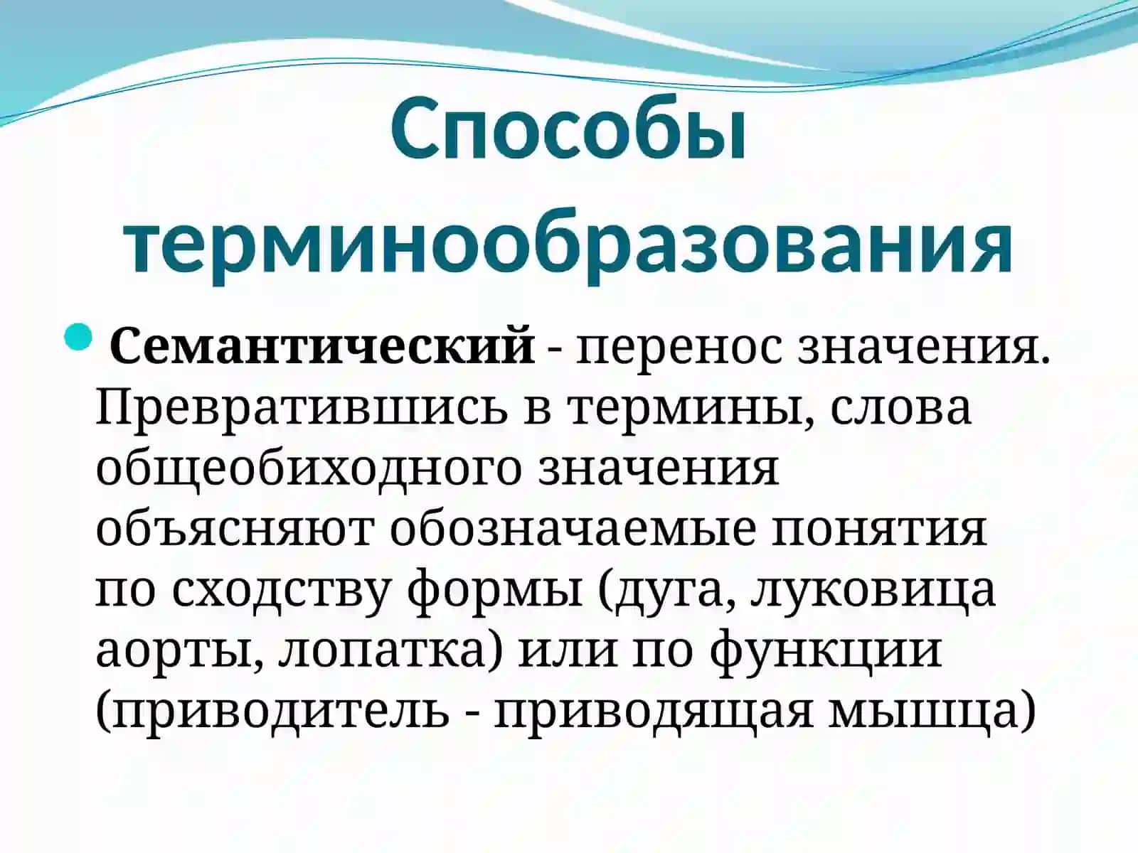 Терминология 4