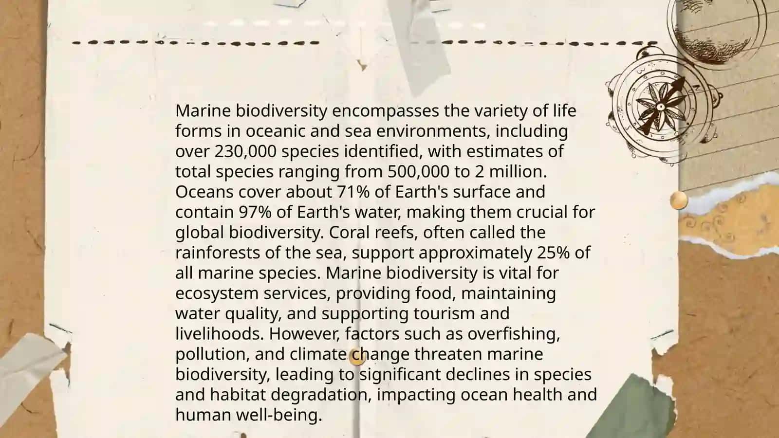 Importance of Oceans 4