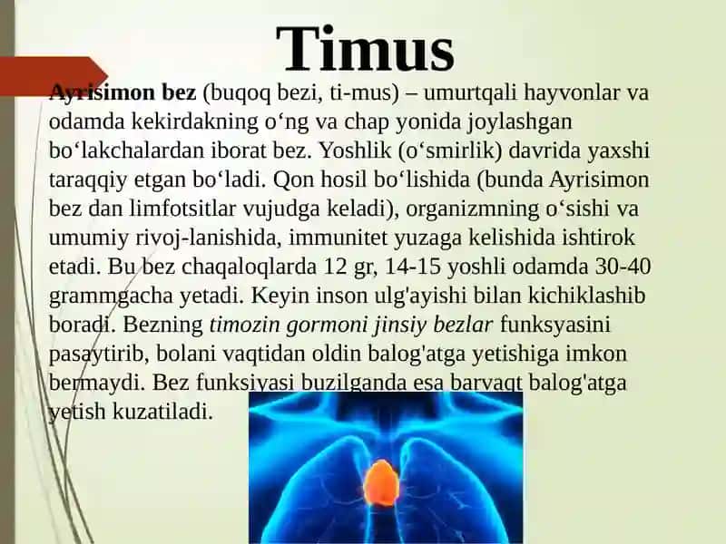 Timusdagi T-limfotsitlarning yetilish jarayoni 4