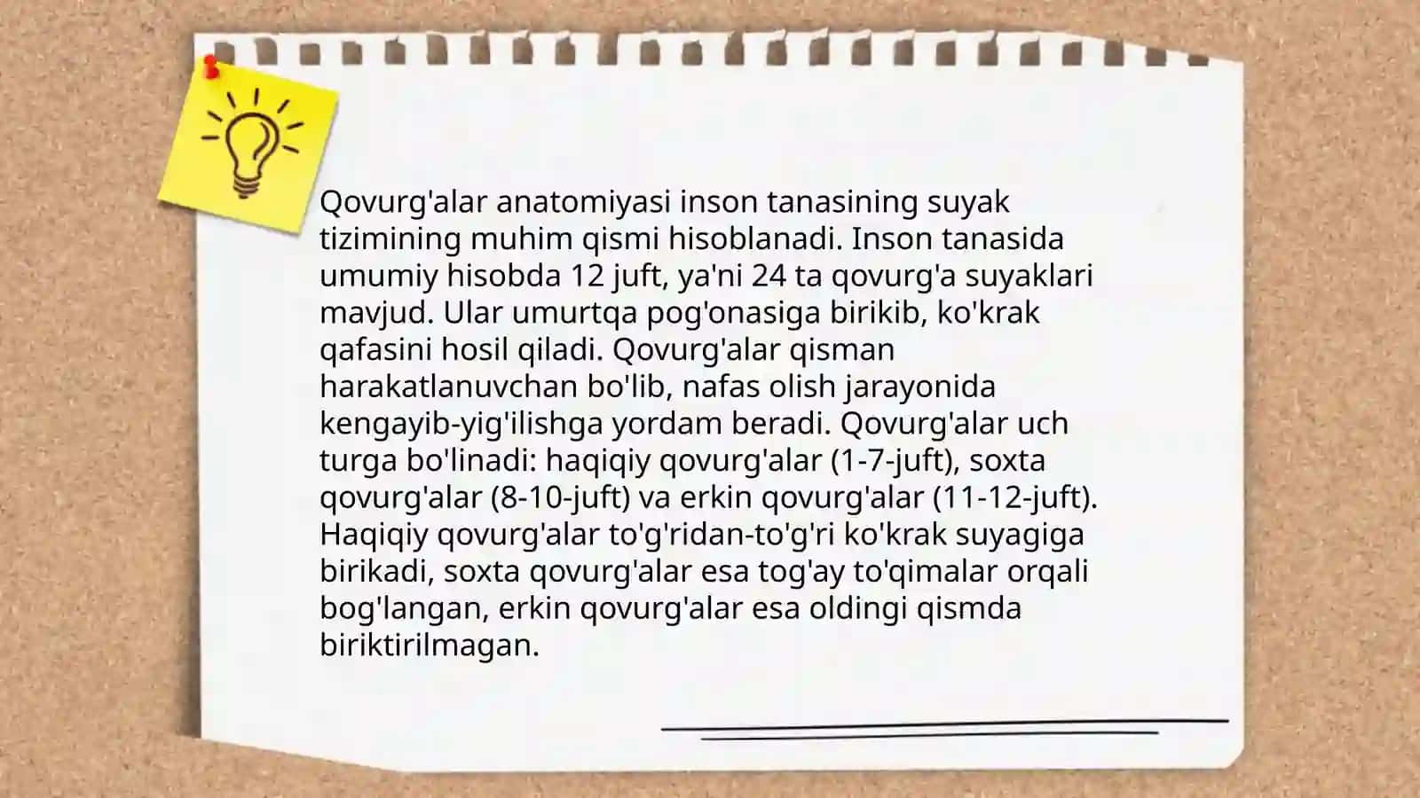 Ko'krak qafasi suyaklari 4