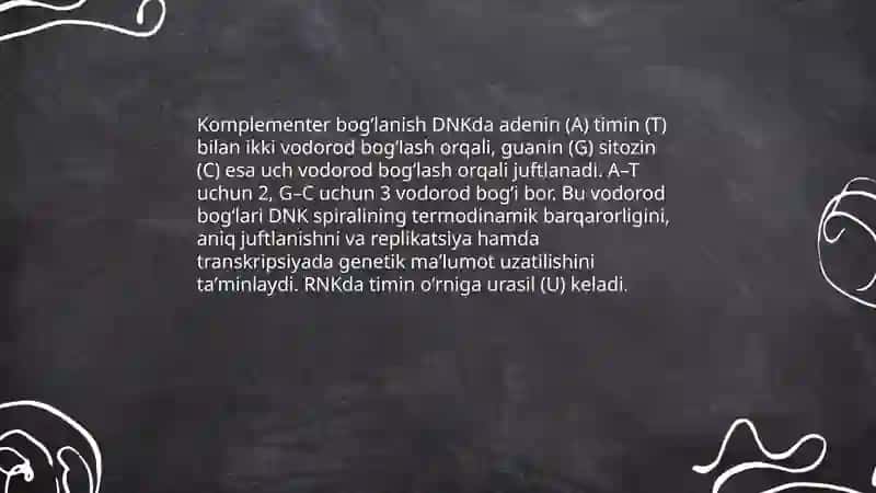 Nuklein kislotalar. DNK va RNK 4