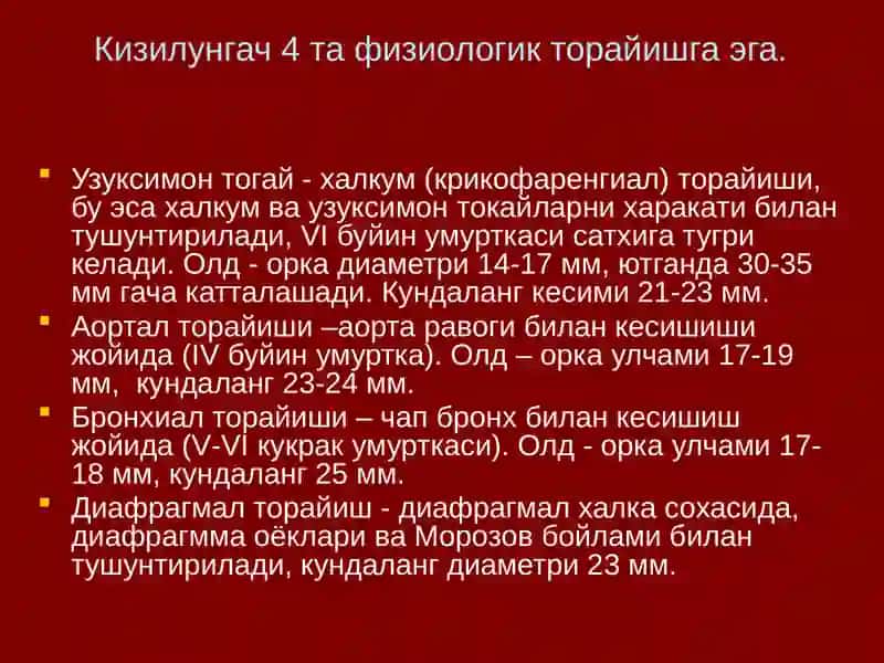 Кизилунгач саратони 4