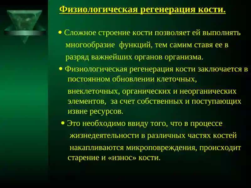 Гисталогия.1020-группа,Розиматова Юлдузхон 4