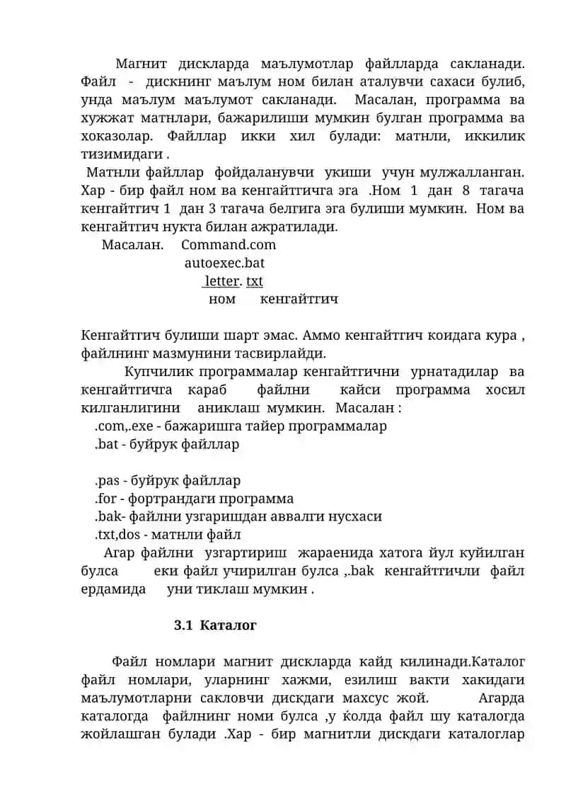 MS - DOS операцион тизими 4