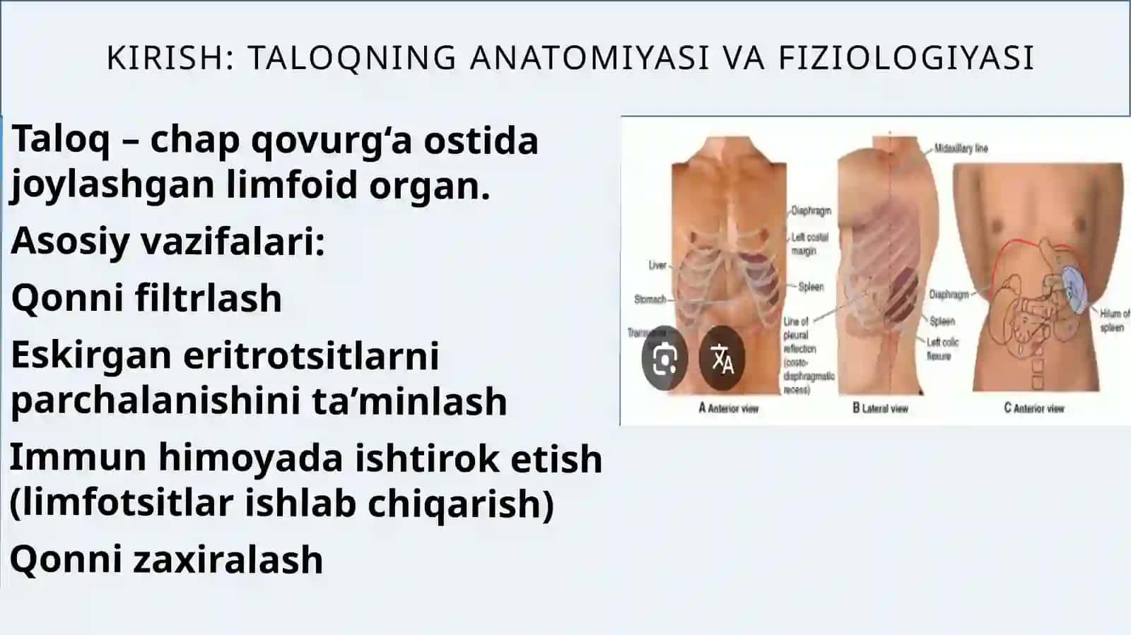 Bolalarda taloq kasalliklari 4