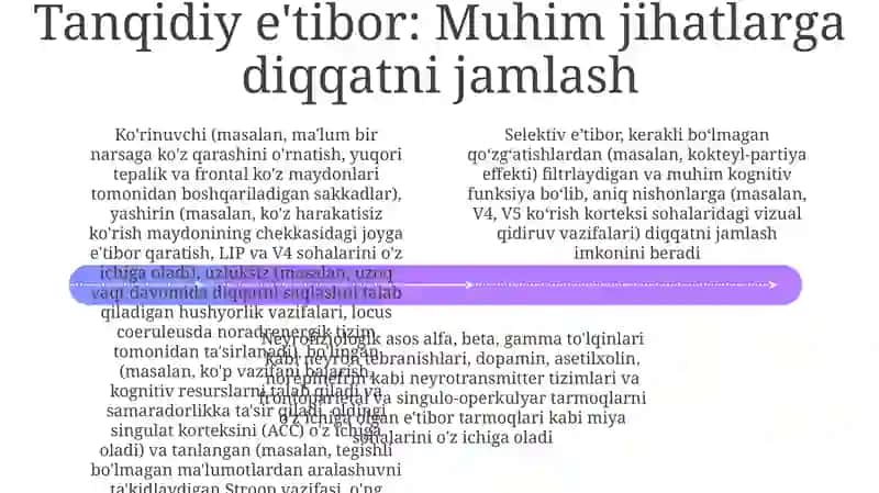 Tanlangan Diqqat va Yo'naltiruvchi Tarmoq 4