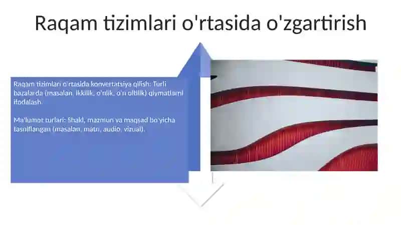 Sakkizlik sonlar tizimi 4