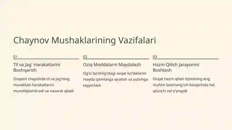 Chaynov Mushaklari: Anatomiyasi va Vazifalari 4