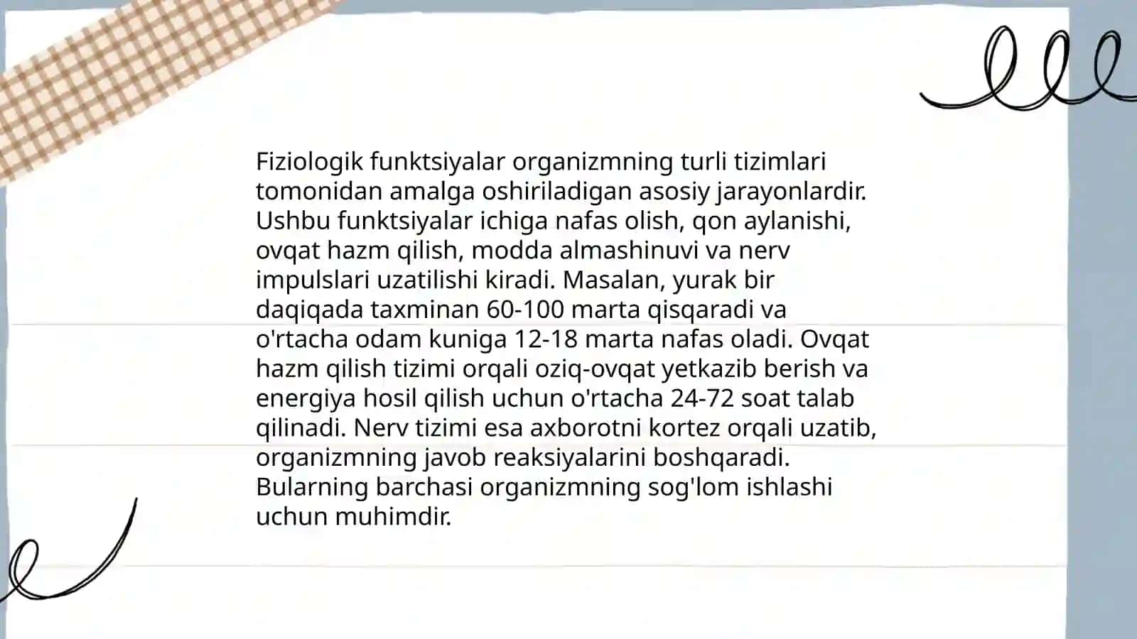 Koʻp qavatli yassi epiteli tuzilishi 4