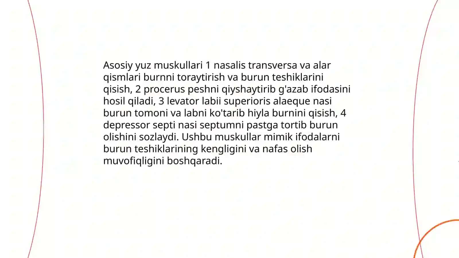 Tashqi burun 4