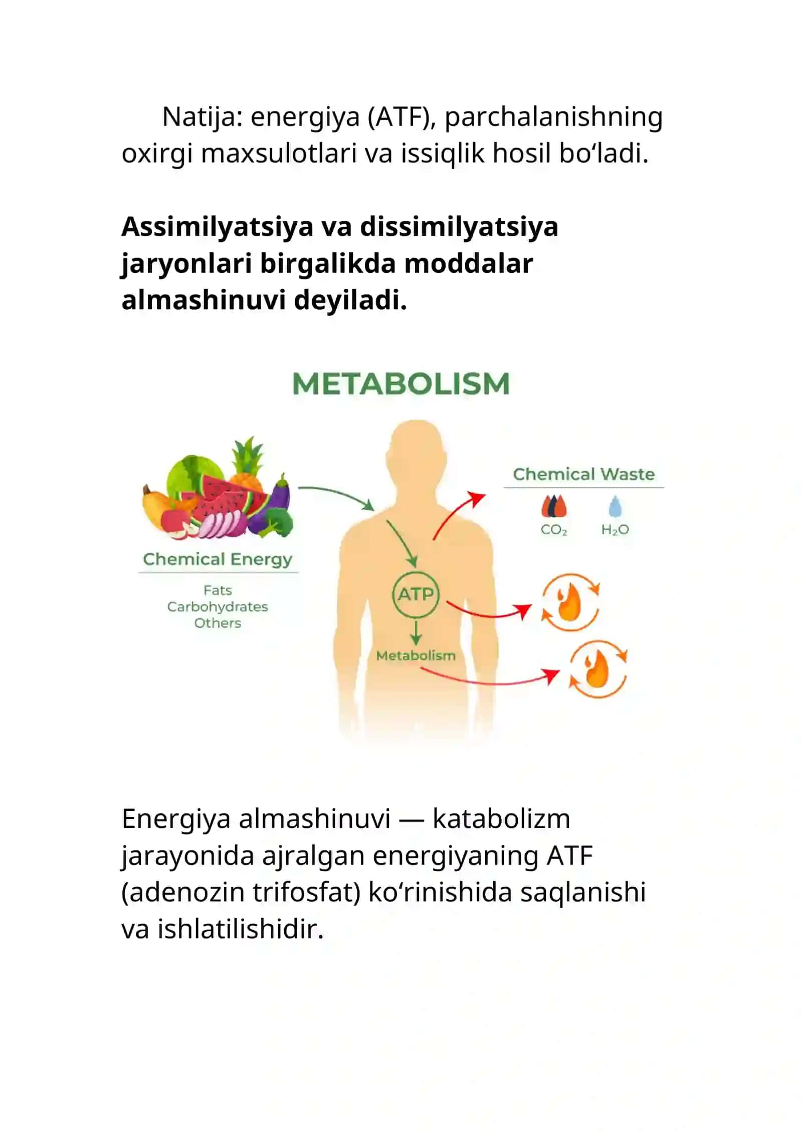 Modda va energiya almashinuvi 4