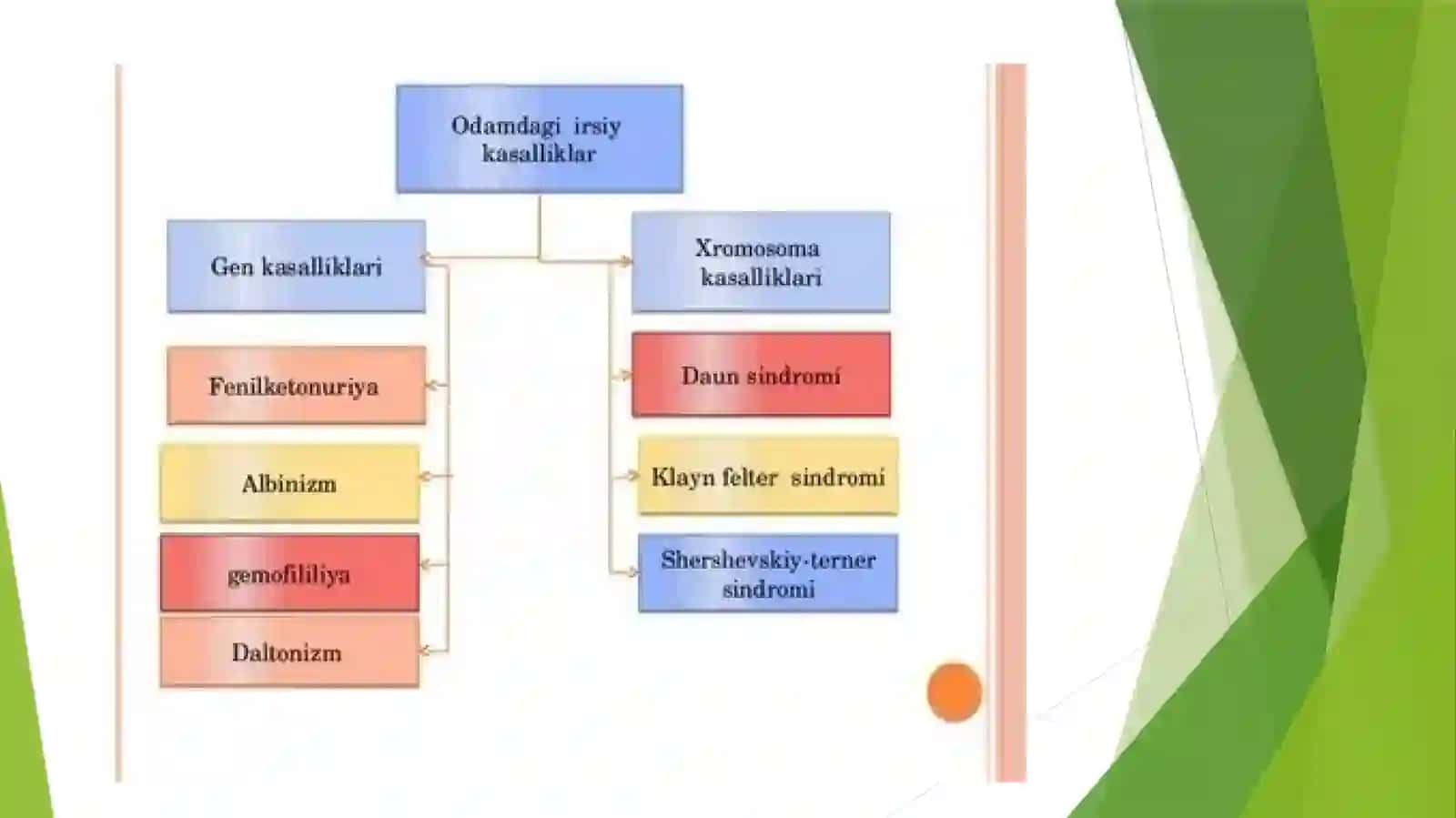 IRSIY KASALLIKLAR KLASSIFIKATSIYASI 4