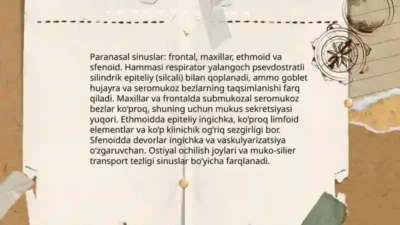 Nafas olish tizimi a'zolarining qiyosiy gistologik tasnifi 4