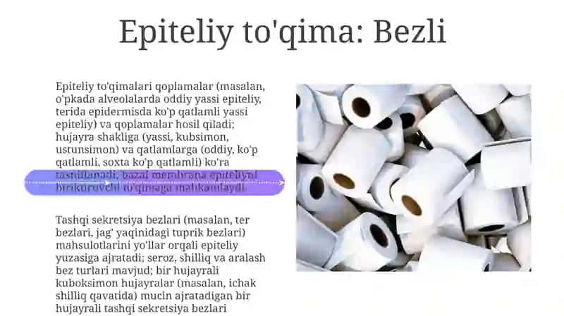 Muskul to'qimasi 4