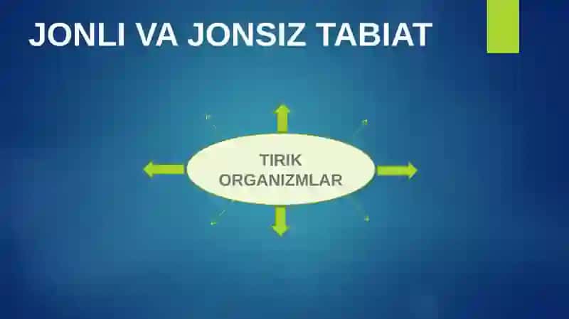 BIOLOGIYA QANDAY BO‘LIMLARGA BO‘LINADI? 4