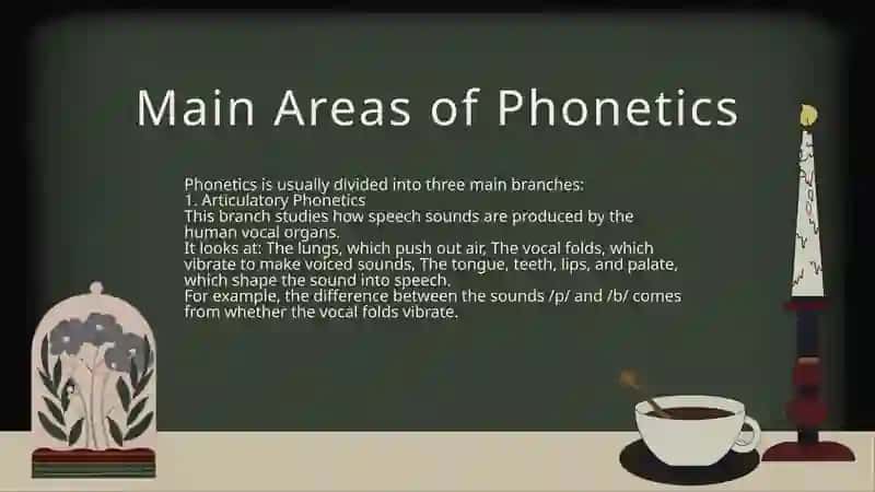 Phonetics as a branch of linguistics 4