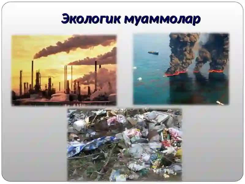 Экологик муаммолар 4