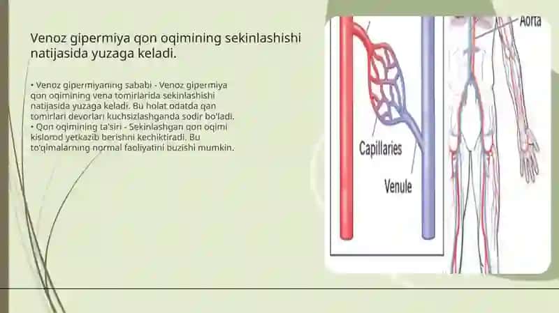 Arterial va veno zgipermiya 4