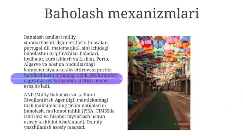 Portugaliyada ta‘lim tizimi va baholash tizmi 4