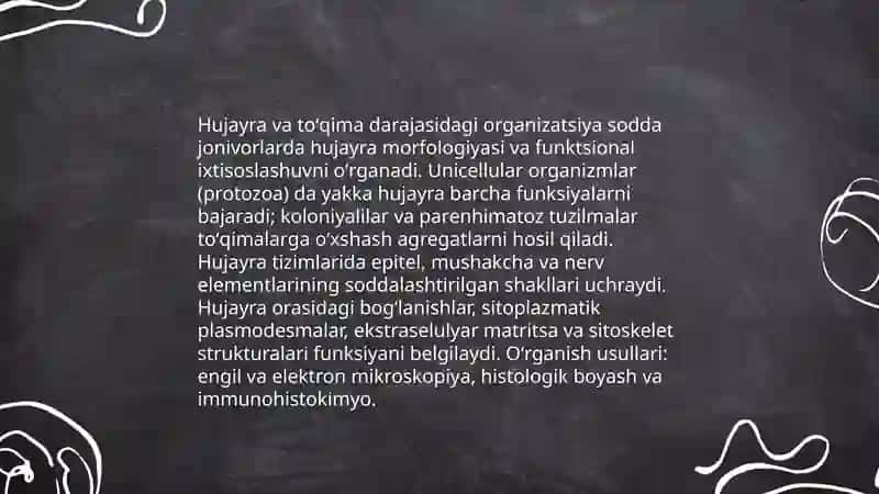 Sodda jonivorlar 4