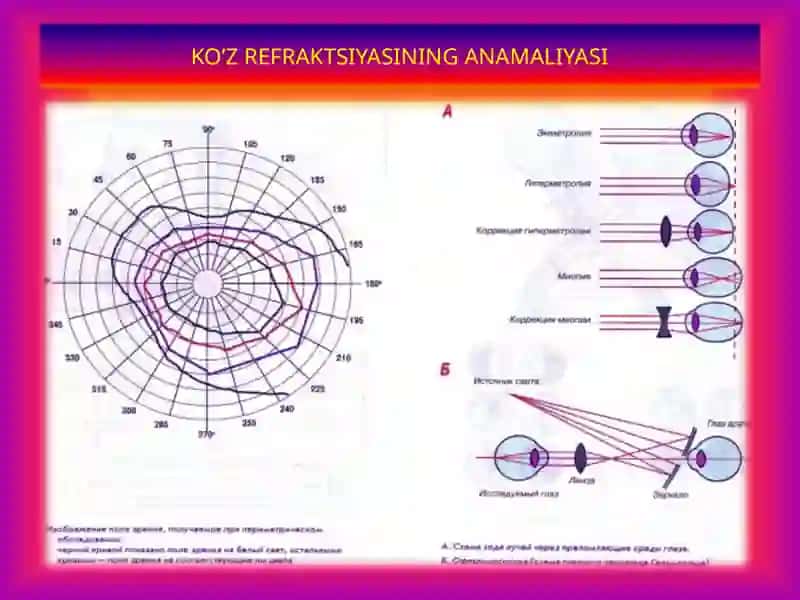 Koʻruv analizatori 4