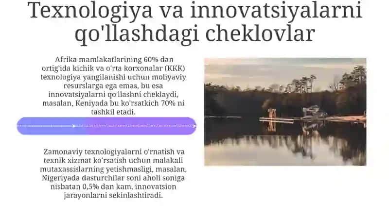 Afrika mamlakatlarida sanoatlashuv muammolari 4