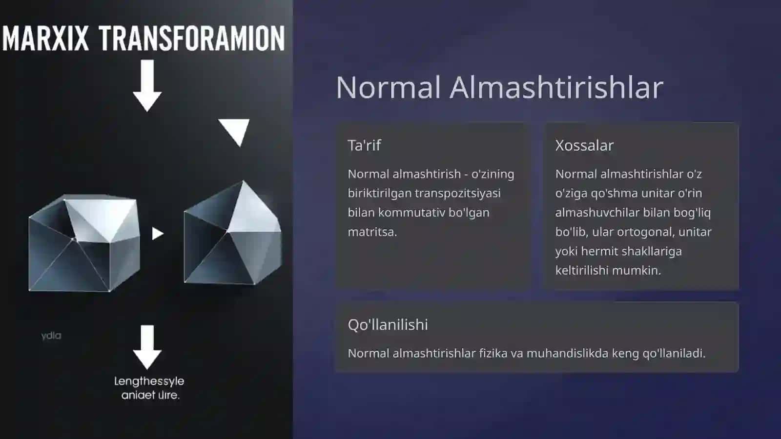 Chiziqli Almashtirish Matritsasini Jordan Normal Formaga Keltirish 4