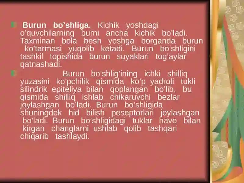 Nafas fiziologiyasi 4