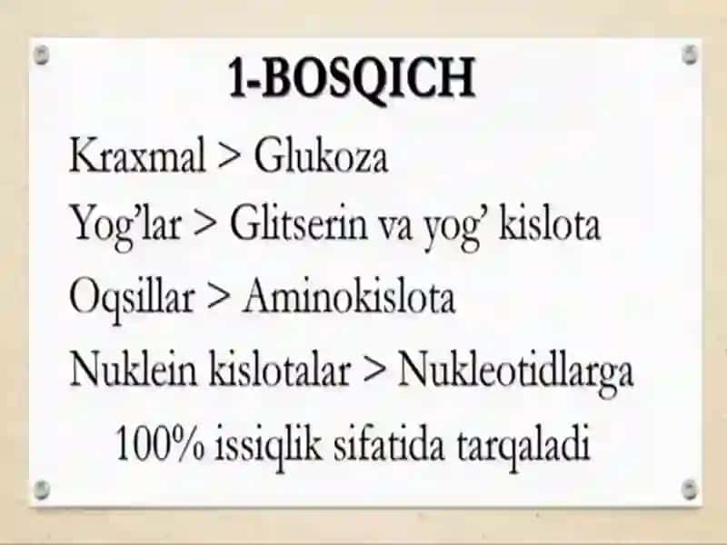 BIOXIMIYA PREZINTATSIYATAYORLADI:205-PEDIYARIYA TALABASIQOSIMOV ASILBEK 4