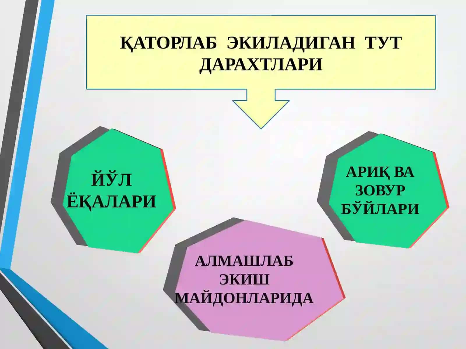 Ипакчилик асослари 4