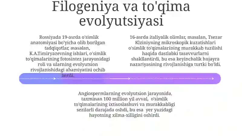 O'simlik to'qimalarini o'rganish tarixi 4