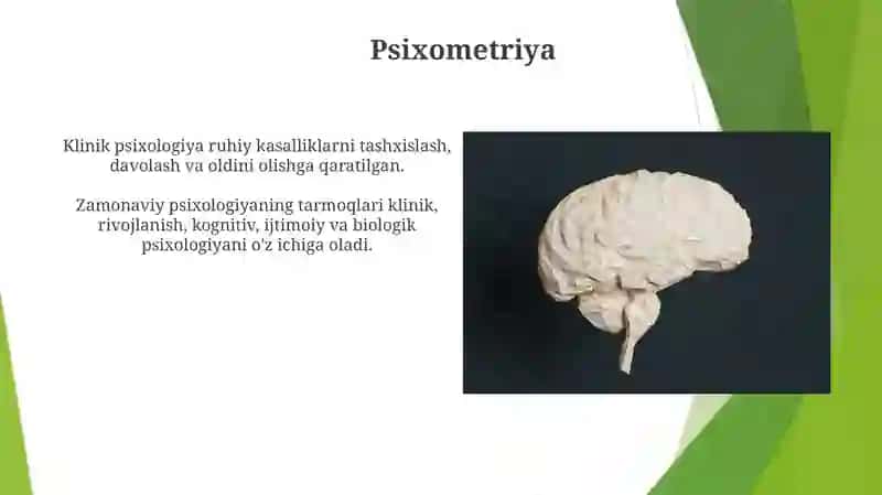 Hozirgi zamon psixologiyasi tarmoqlari 4